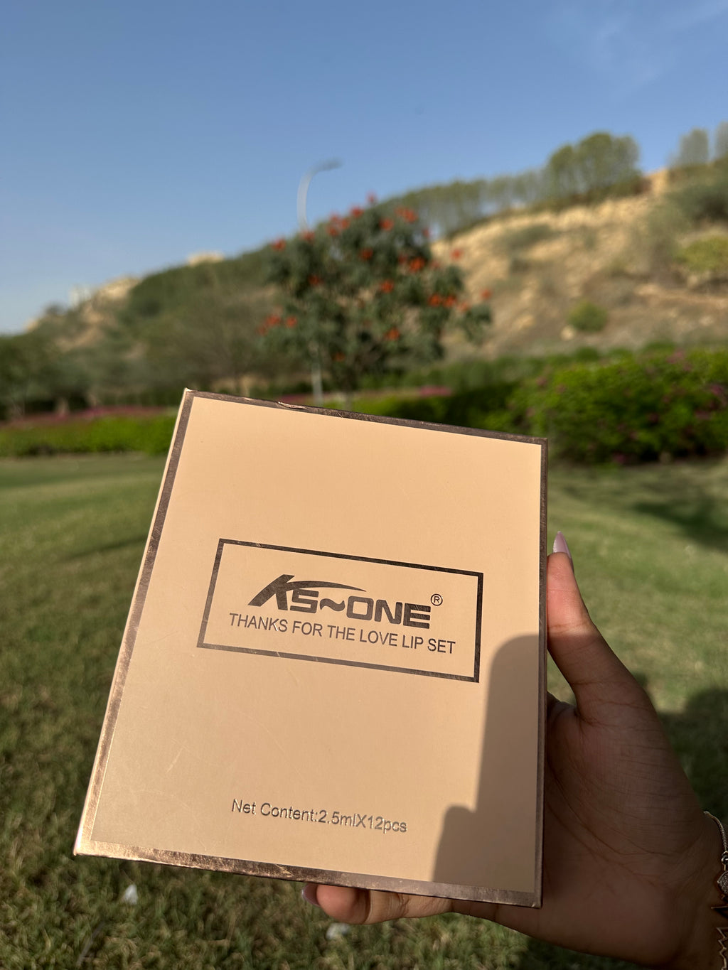 KS-ONE Thanks for the Love Lip Set – 12 Shades