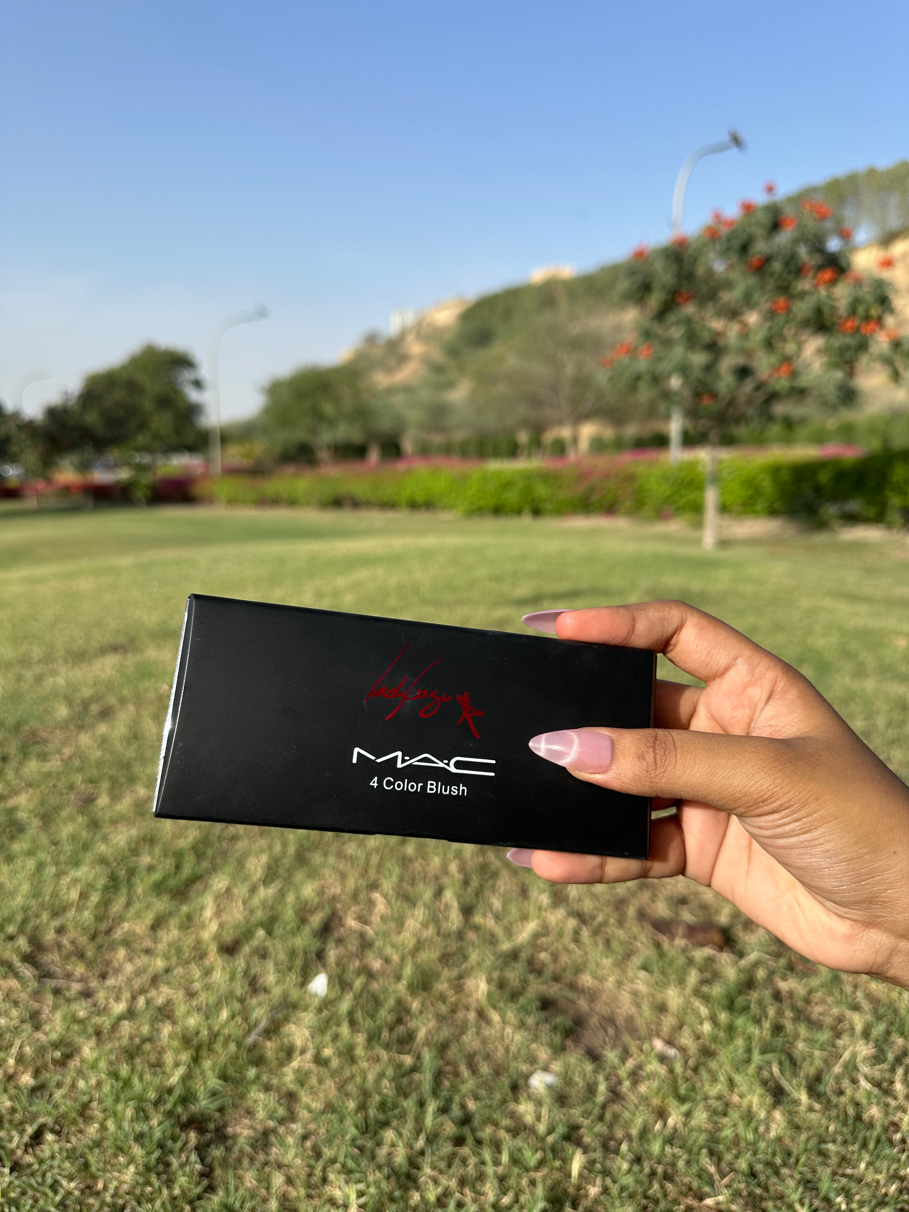 MAC 4 Color Blush Palette