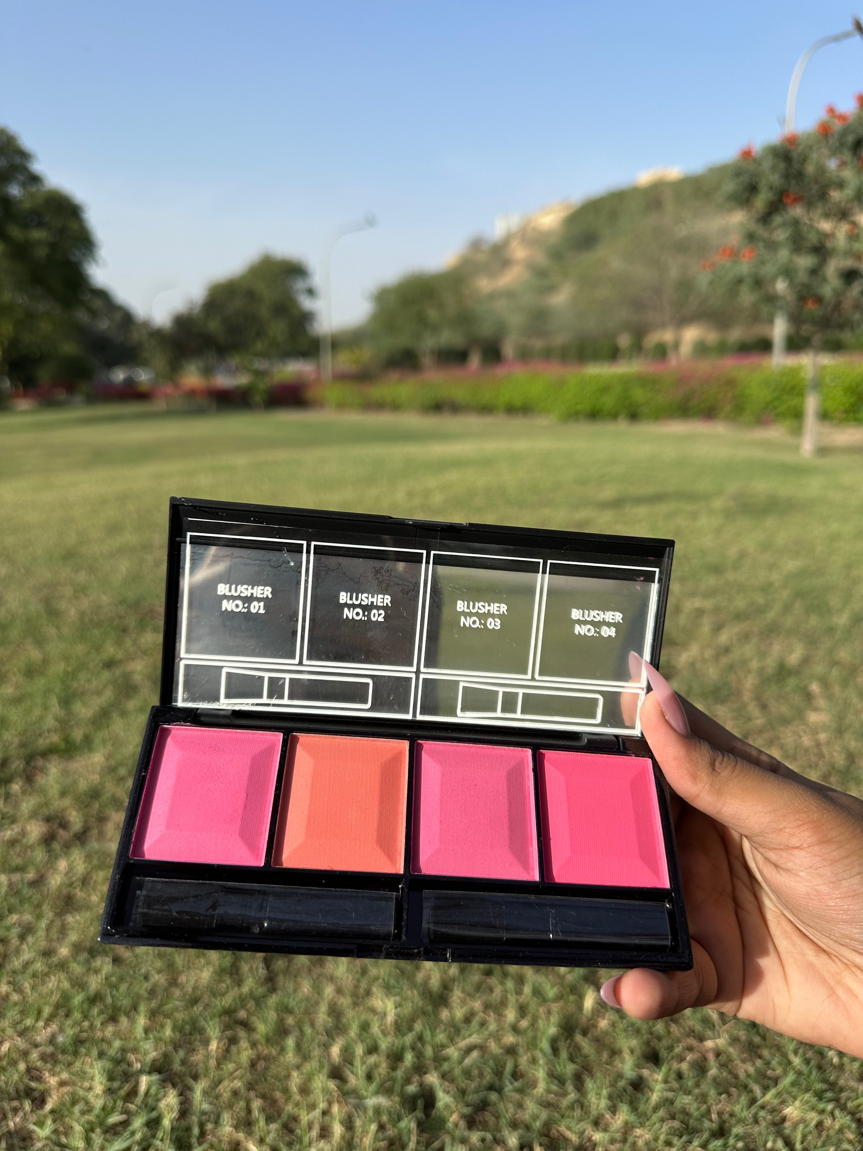 MAC 4 Color Blush Palette