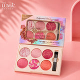 Msyaho Magnificent Blusher & Highlighter Palette 6 Colors