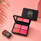 MAC 4 Color Blush Palette – Smooth & Natural Face Blush Palette